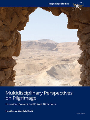 cover image of Multidisciplinary Perspectives on Pilgrimage